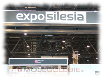 Expo Gołębie 2016